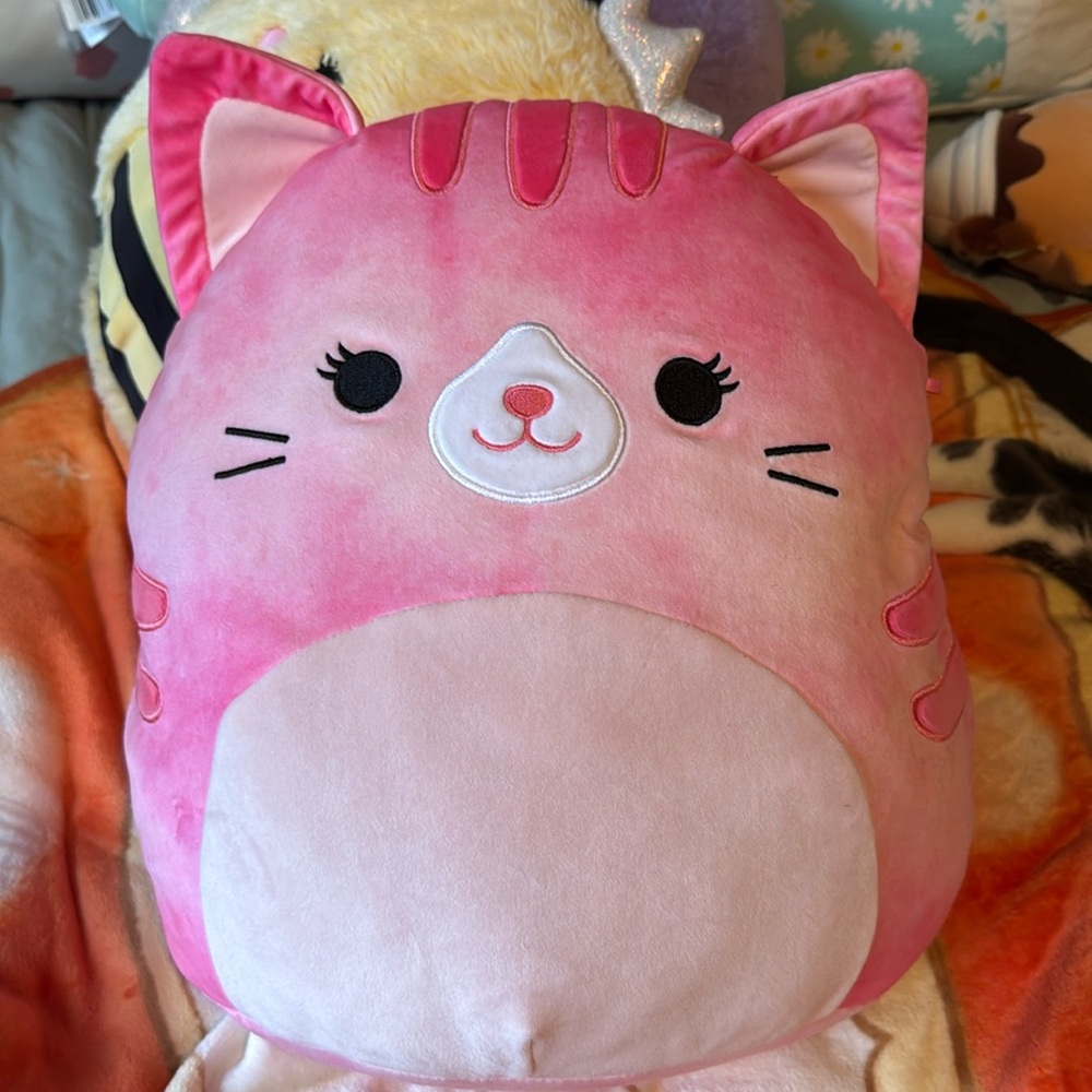 Claudella tabby cat squishmallow brand new